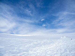 Fototapeta na wymiar 真っ白な伊吹山山頂の雪原