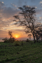 beautiful African landscape at sunset (Kenya Africa)
