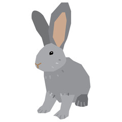 Fototapeta na wymiar Giant Chinchilla rabbit vector illustration in flat color design