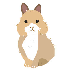 Netherland Dwarf rabbit vector illustration in flat color design