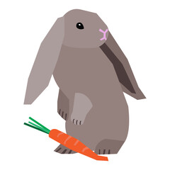 Velveteen Lop rabbit vector illustration in flat color design