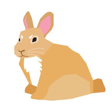 Mini Rex rabbit vector illustration in flat color design