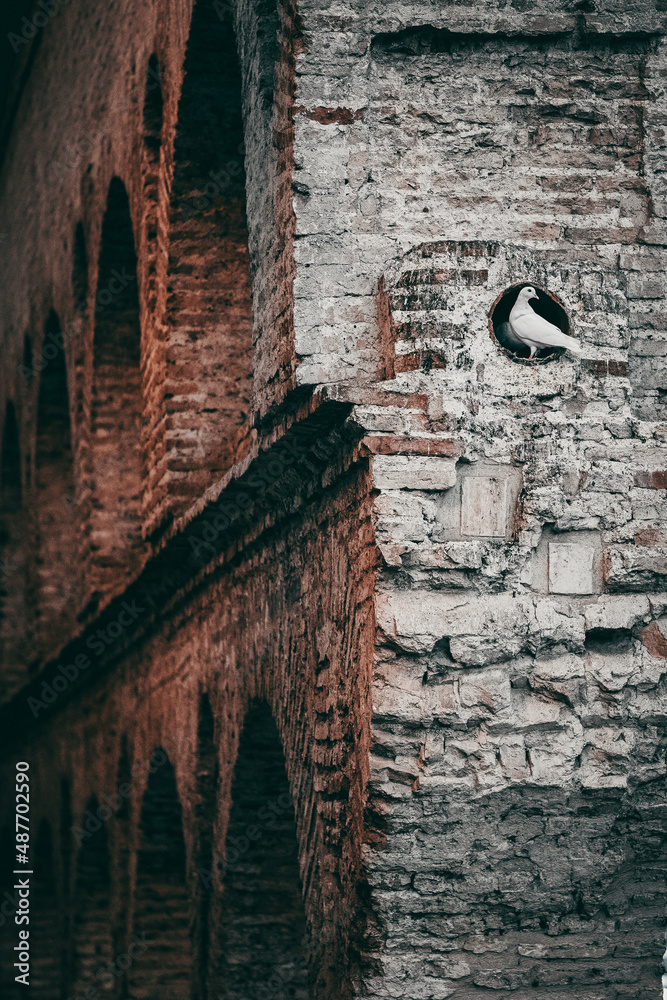 Sticker A vertical shot of a pigeon on a stone building