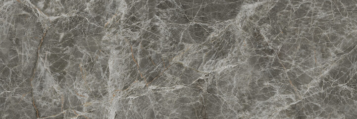 Fototapeta na wymiar spider web structure veins grey colored marble base for interior and tiles background