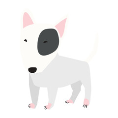 Bull Terrier vector illustration in flat color design