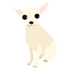 Chihuahua vector illustration in flat color design