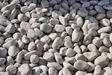 stone garden