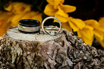 Elegant black and silver wedding bands on tree stump
