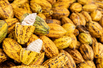 Cocoa beans and cocoa pod on a wooden surface.