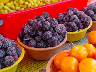 Local people selling ranmeva at the Mahabaleshwar like tomato, Forest food the real taste of nature, blueberry, guava, Red strawberries, berries, beetroots, indian gooseberry, tamarind.