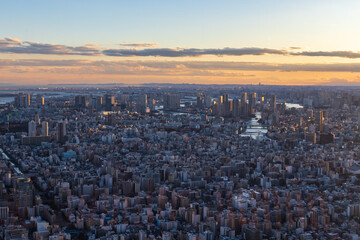 タワーから見る東京の夕景