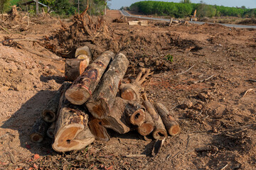 A pile of stacked firewood, prepared for heating the house, Firewood harvested for heating in winter, Chopped firewood on a stack, Firewood stacked and prepared for winter Pile of wood logs.