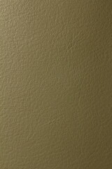 the texture of natural aniline leather of the highest quality of dressing