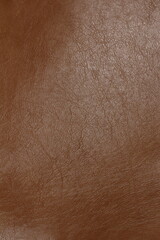 the texture of natural aniline leather of the highest quality of dressing