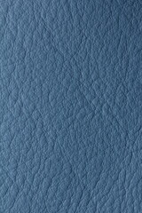 the texture of natural aniline leather of the highest quality of dressing