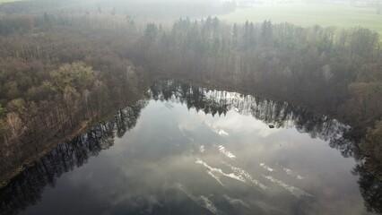 morning in the forest © Patryk