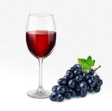 The glass of red wine and grape isolated on transparent background. Realistic vector illustration.