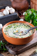 Cheese soup with mushrooms, potatoes and carrots. Delicious cozy first course, autumn food