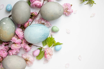 Easter eggs with cherry blooming. spring mood