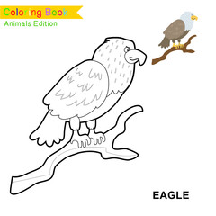 Children coloring page of animal kingdom. Kids art activity page. Funny coloring game. Preschool education developing worksheet. Black and white vector illustration. Motor skills education.