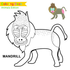 Children coloring page of animal kingdom. Kids art activity page. Funny coloring game. Preschool education developing worksheet. Black and white vector illustration. Motor skills education.