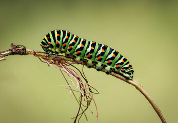 Día de naturaleza