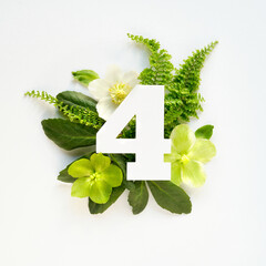 Number four, cut out of white paper. White and green helleborus winter rose flowers, fern leaves...
