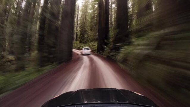 Front pov timelapse of black car driving in Jedediah Smith Redwoods State Park, day