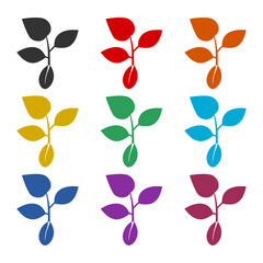 Sprout icon or logo, color set