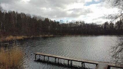Naklejka premium lake in the forest