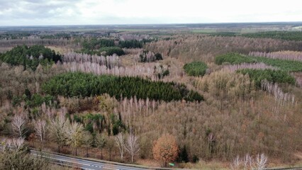 landscape with field © Patryk