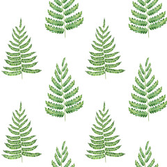 Fototapeta na wymiar Fern branch seamless watercolor pattern. Hand drawn botanical illustration. Endless texture with fern foliage on isolated background. Green leaves wallpaper. For printing on fabric and wrapping paper.