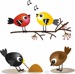 Birds. A set of images of small birds. Titmouse and bullfinch on a rowan branch. A sparrow pecks grain, a crow pulls a worm out of the ground.