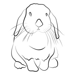 Graphic illustration cute bunny