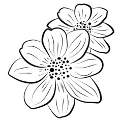 decorative flower 