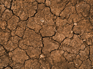 dried and cracked soil texture