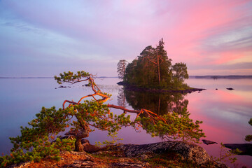North Karelia, white night, flaming sunset, bonsai pine tree on a small granite island in the middle of a lake