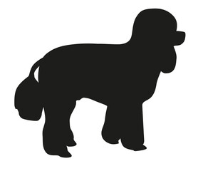 Black silhouette of a poodle dog, outline of a standing dog