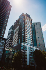 skyscrapers in the city