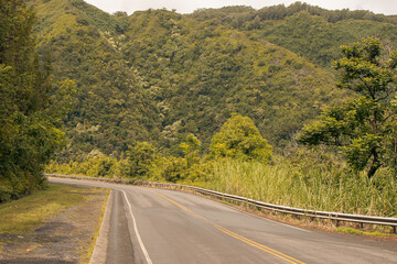 Road to hana, vegetation and mountain background from Maui, Hawai