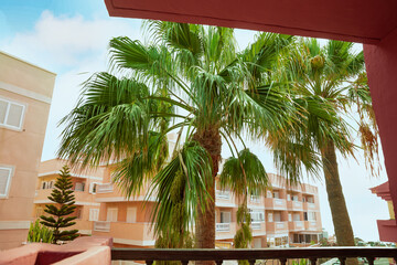 tropikalny klimat w hotelu na wyspie