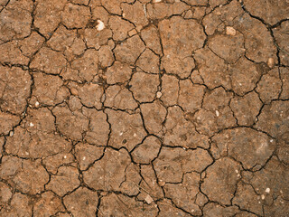 dried and cracked soil texture