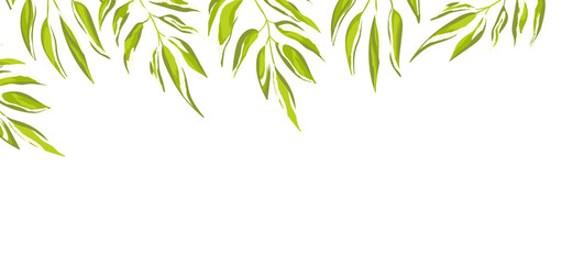 Floral web banner with drawn color exotic leaves. Nature concept design. Modern floral compositions with summer branches. Vector illustration on the theme of ecology, natura, environment