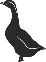 Goose. Pets. Flat black silhouette. Vector image.