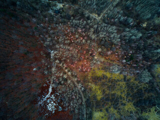 natural abstract background, colorful forest trees and ground, aerial view