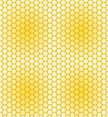 Textura y tapiz de rejilla panal de abejas y miel