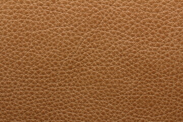 the texture of natural aniline calfskin of the highest quality
