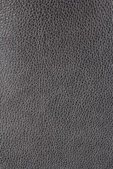 the texture of natural aniline calfskin of the highest quality