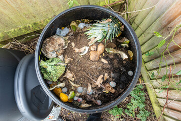 Close up view of. the contents of a black, plastic compost bin in the corner of a garden.