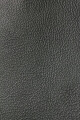 the texture of natural aniline calfskin of the highest quality